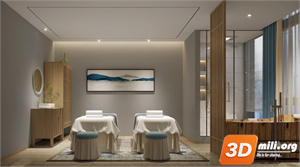 Spa Skp Files 